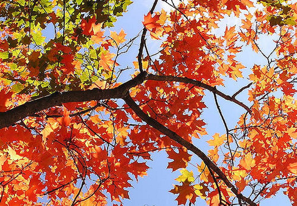 Fall, I Took You For Granted And I'm Sorry