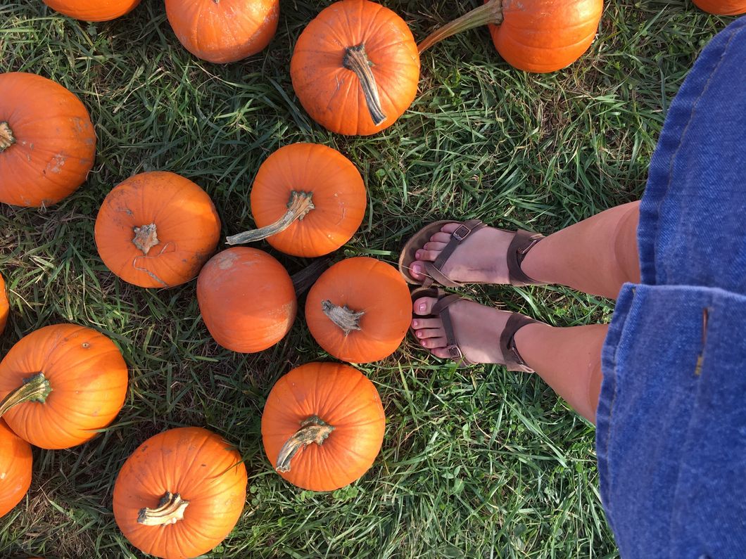 17 Autumnal Activities To Get Your Fall Feels In The Zone