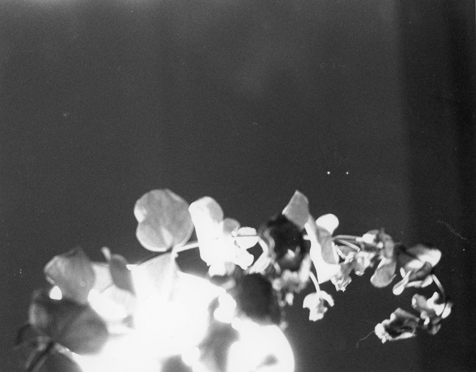 To All The Aspiring Creatives Out There, It'll Be Ok