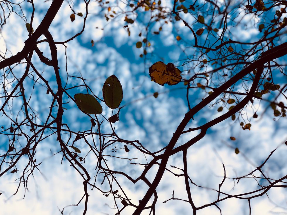 Fall Hot Spots on the North Fork of Long Island