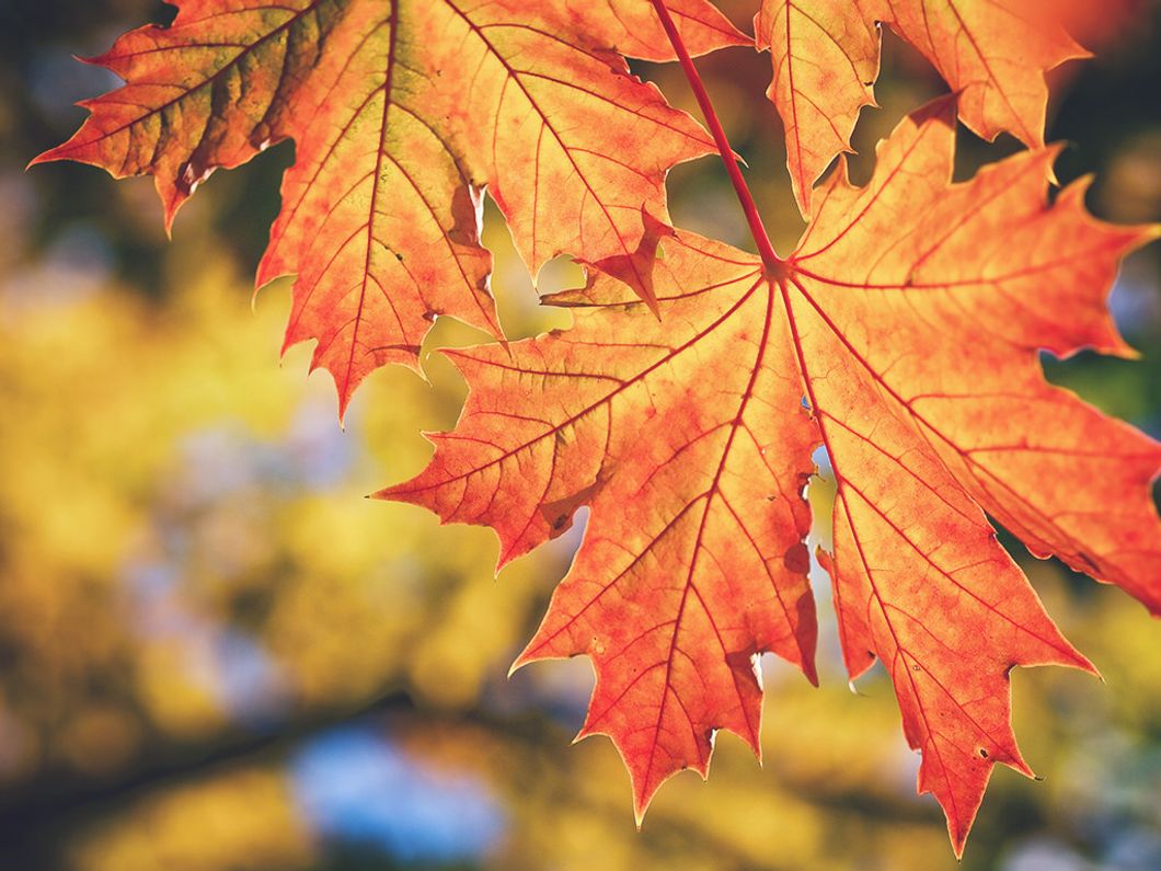 10 Reasons That Will Convince You October Is The Best