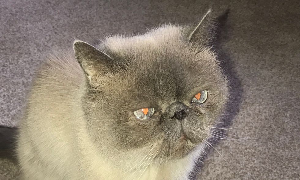 10 Reasons Going Home From School Is The Best