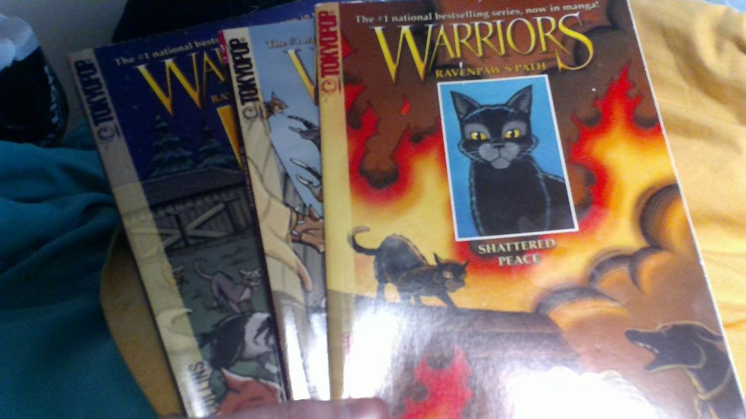 I Have A Love/Hate Relationship With 'Warrior Cats'