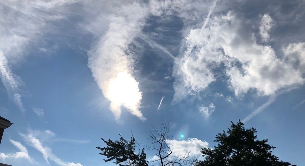 Experiencing Sunshine Through a Book