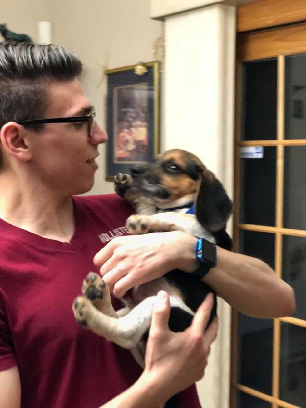 What A Fur Baby Means To Me