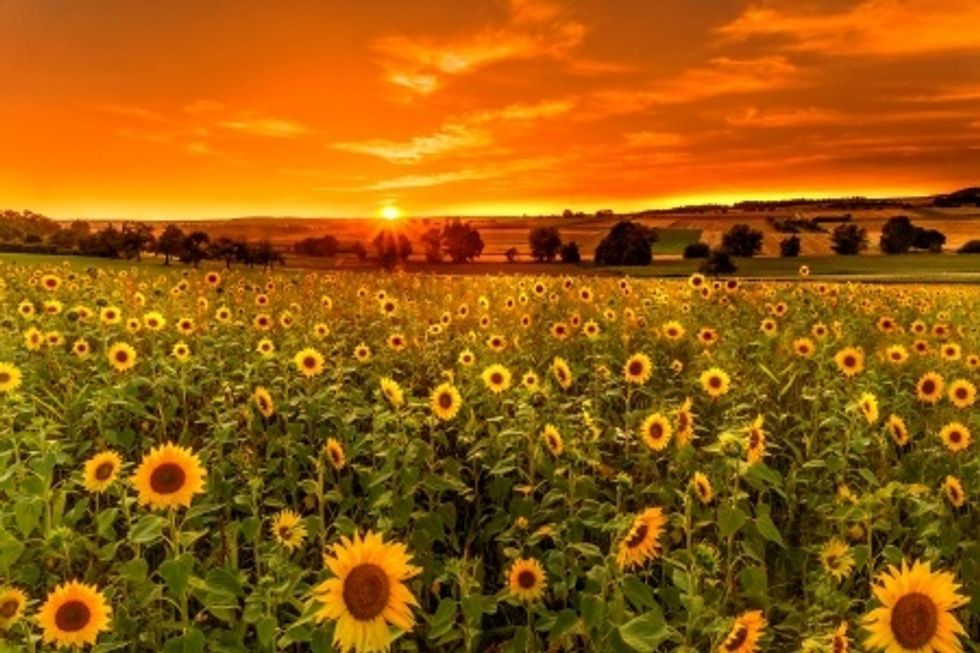 An open letter to my Ex- Best Friend