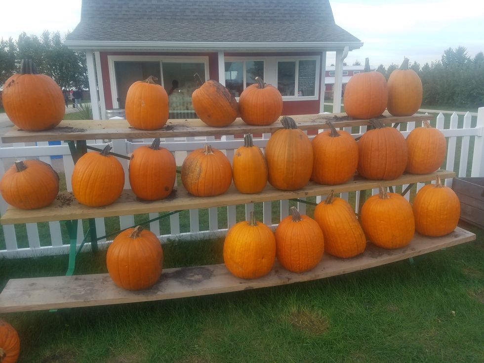 Top 10 Songs You Need To Have In Your Fall Playlist