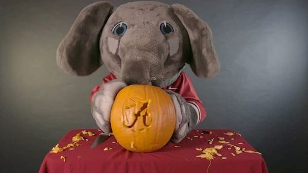 If The SEC Football Teams Were Your Favorite (Or Not-So-Favorite) Halloween Candies