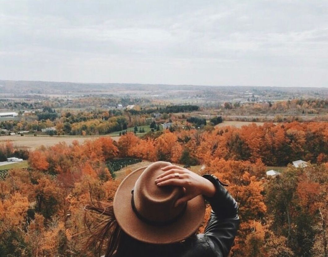 The Beauty Of Autumn