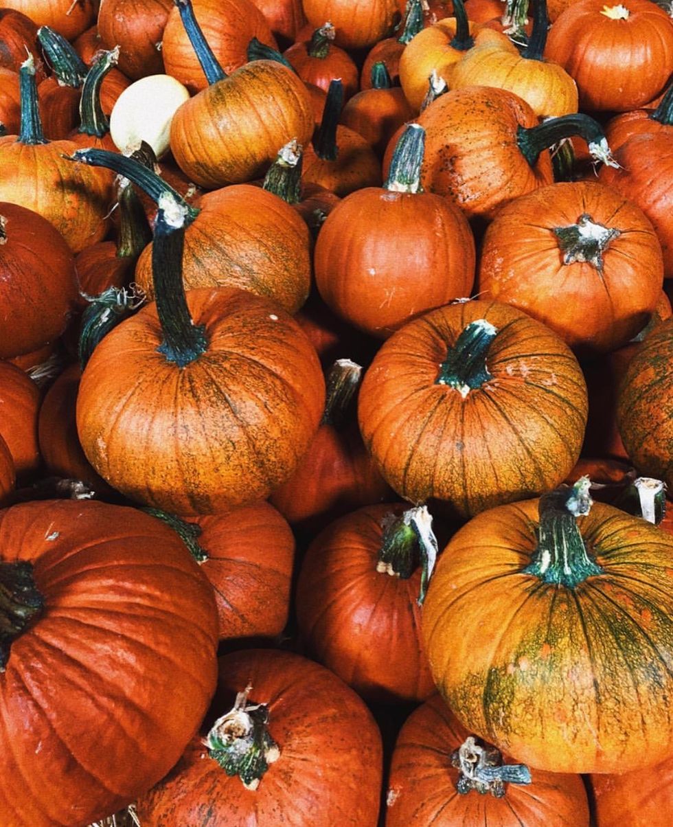 How To Get Spooky On A Budget