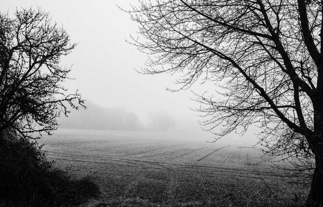 Winter Is Coming, And So Is Seasonal Depression