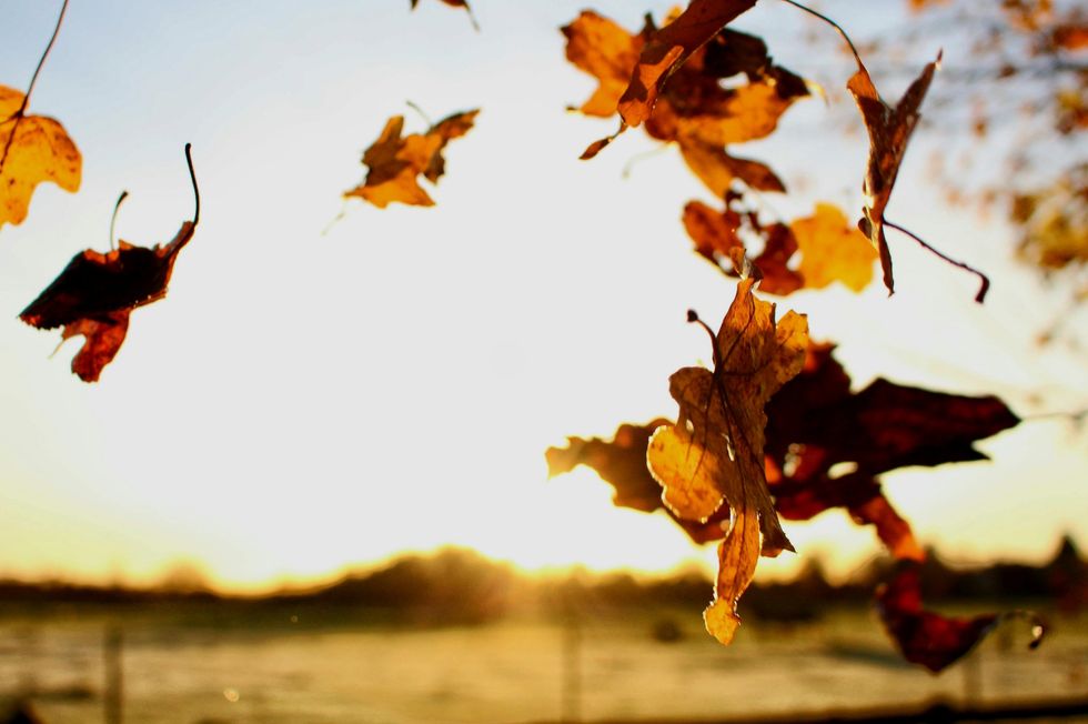 Hey Ohio, If It Could Feel Like Fall That'd Be Great