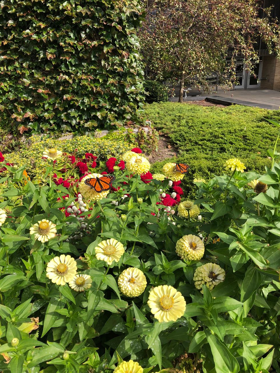 5 Places In Madison, WI For The 'Outdoorsy Type'