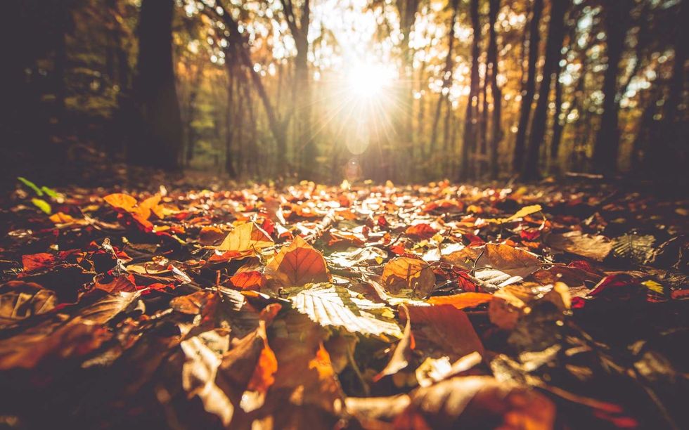 The 5 Week Itch to Thanksgiving Break