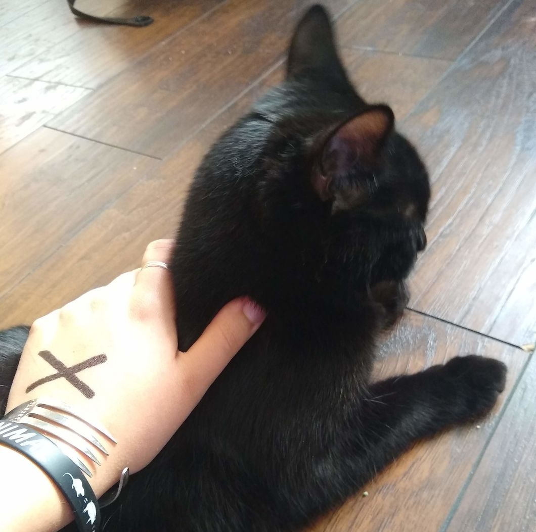 6 Things You Should Know About Your Straight Edge Friend