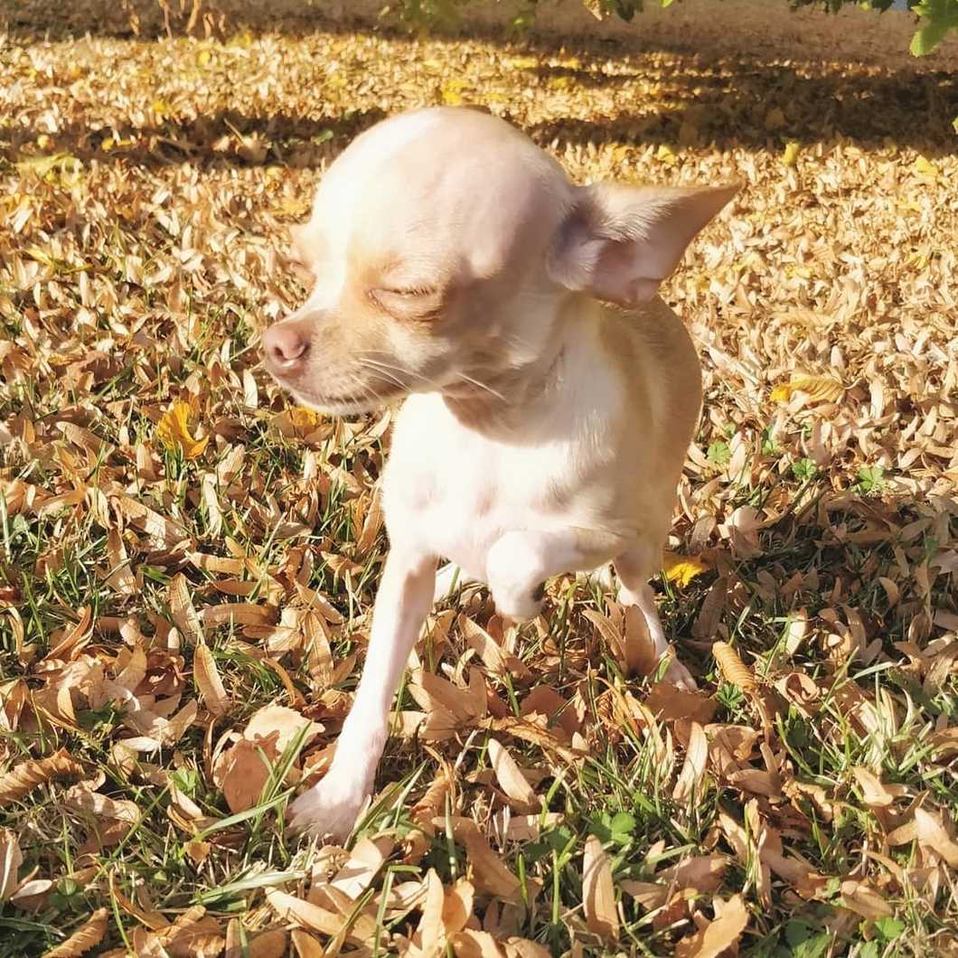 10 Quotes to Live By