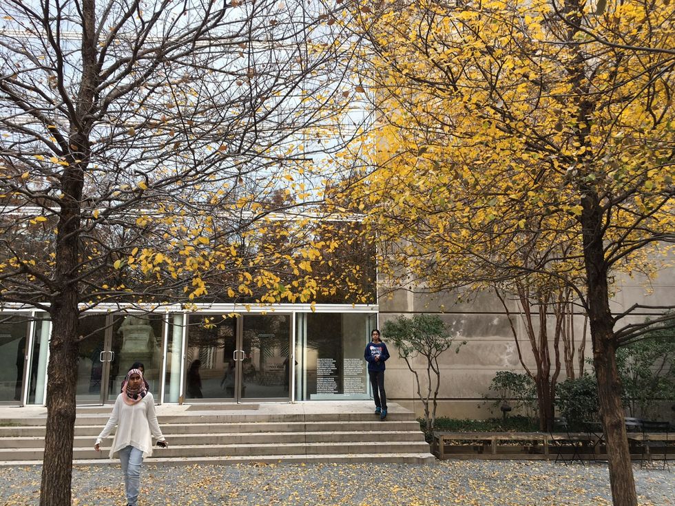 8 Fall Activities In Georgia That Will Uplift The Darkening Weather