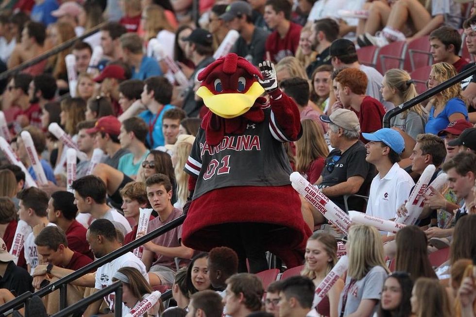 5 Homecoming Traditions At The University Of South Carolina Everybody Can Enjoy