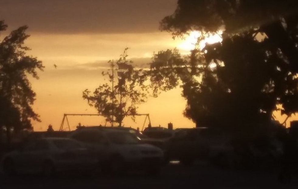 We All Need Friends In This Life