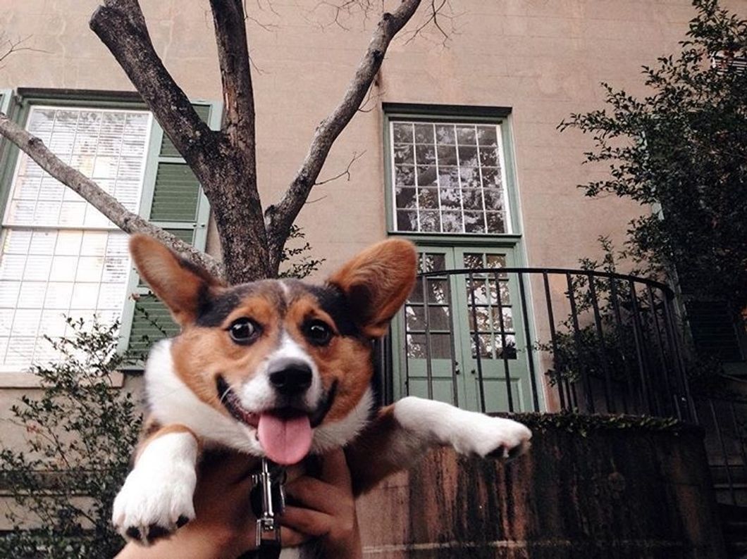 Here's Your Mid-Semester College Motivation