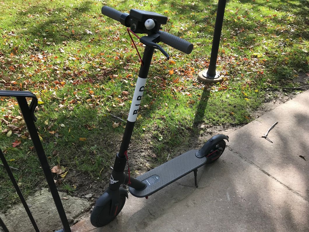 Birding Is A Movement That Is Changing Everyone's Lives