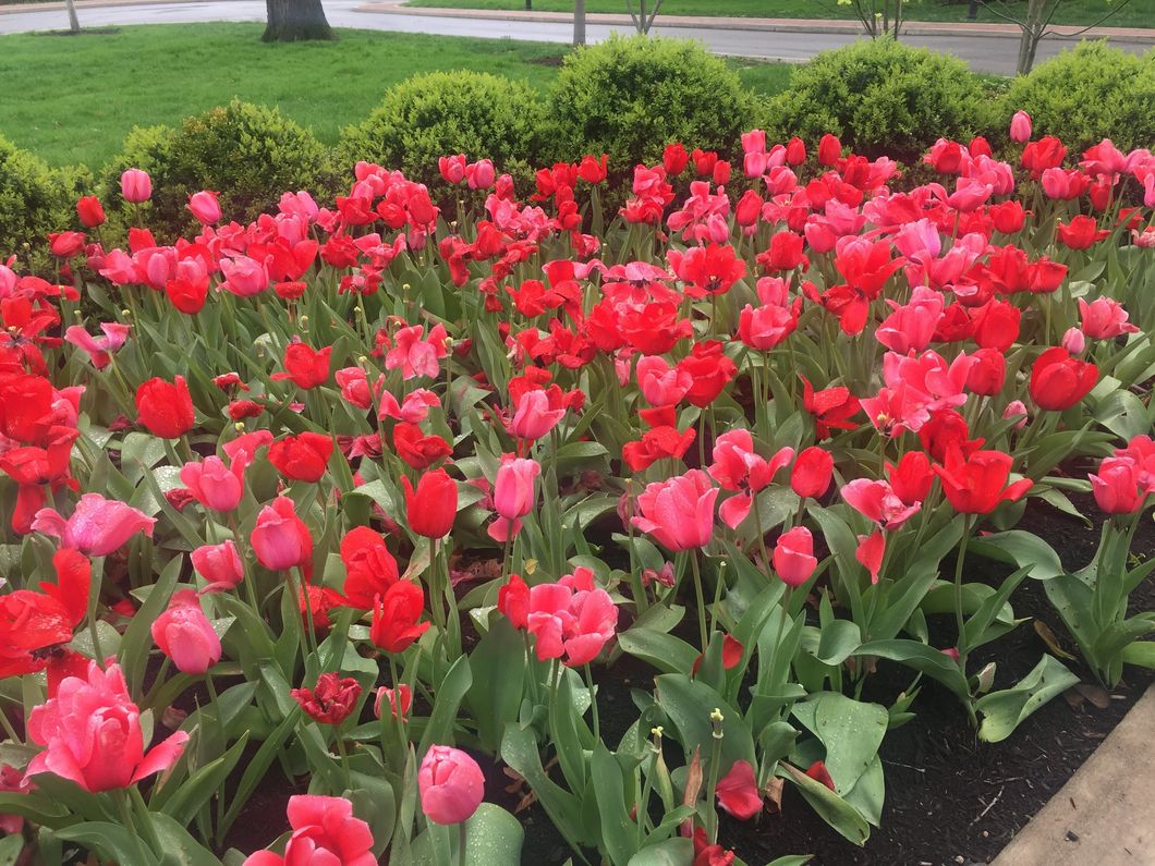 Being The Daughter Of A Funeral Director Has Affected Me In Ways I Could Never Imagine