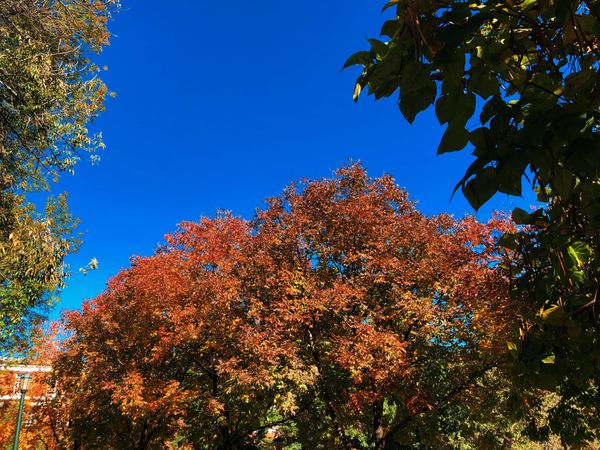 10 November Thoughts Every College Student Has, Without Fail