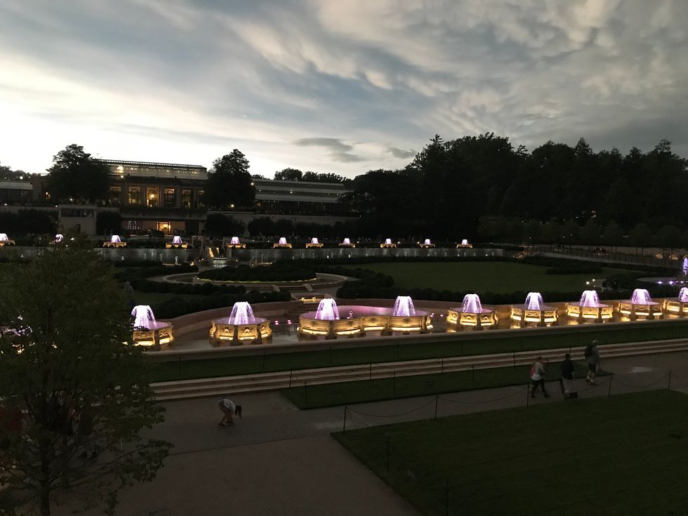 7 Photography Tips And Tricks For Beginners