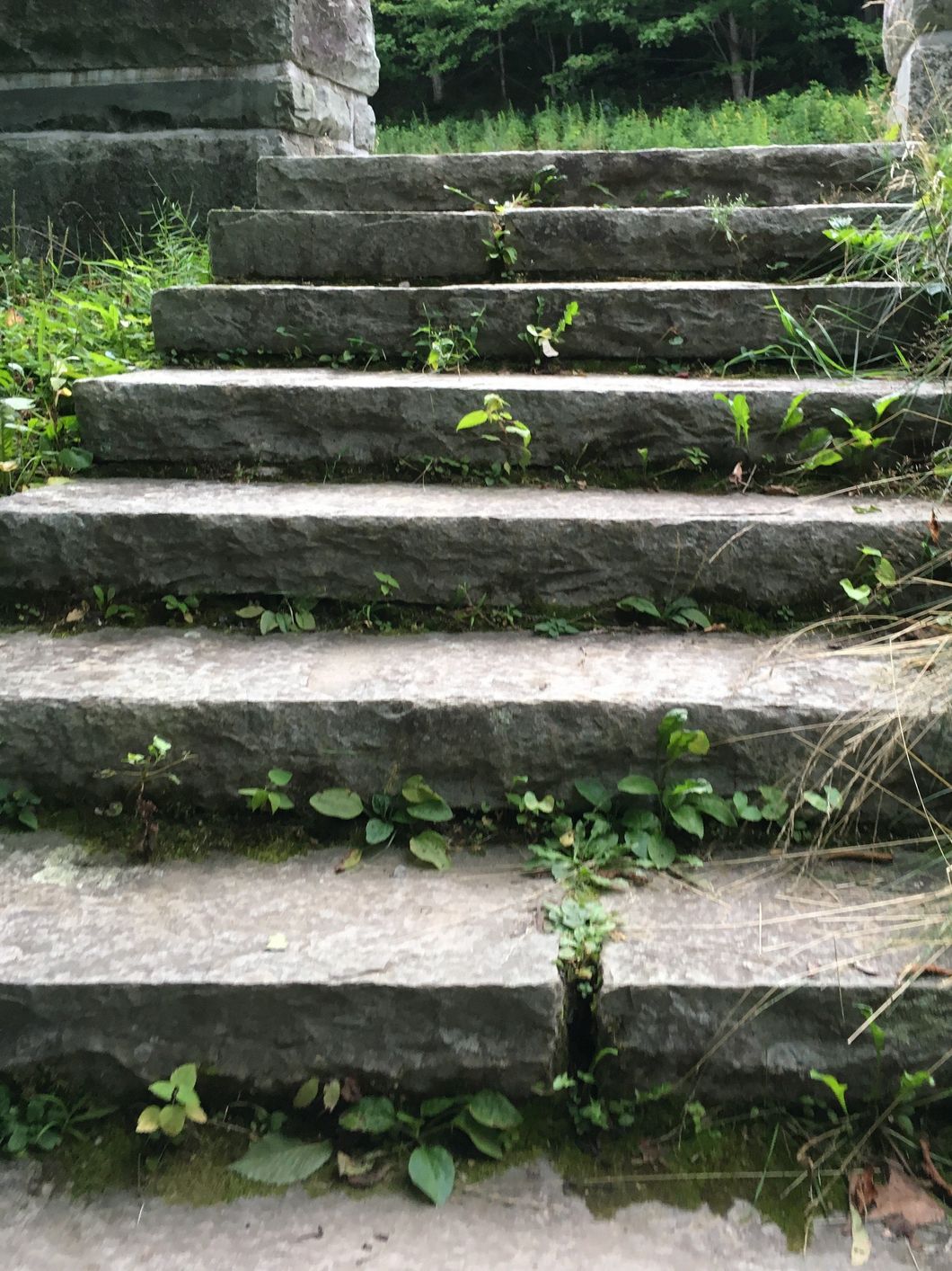 Working Out, The Easy Way