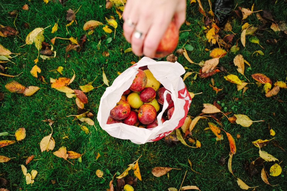 5 Things To Do This Fall, Nothing More Or Less