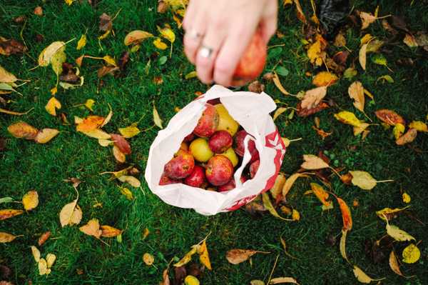 5 Things To Do This Fall, Nothing More Or Less