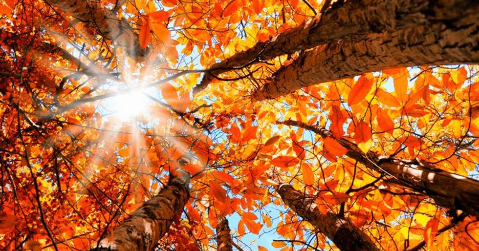 10 Reasons Why Fall is the Best Season