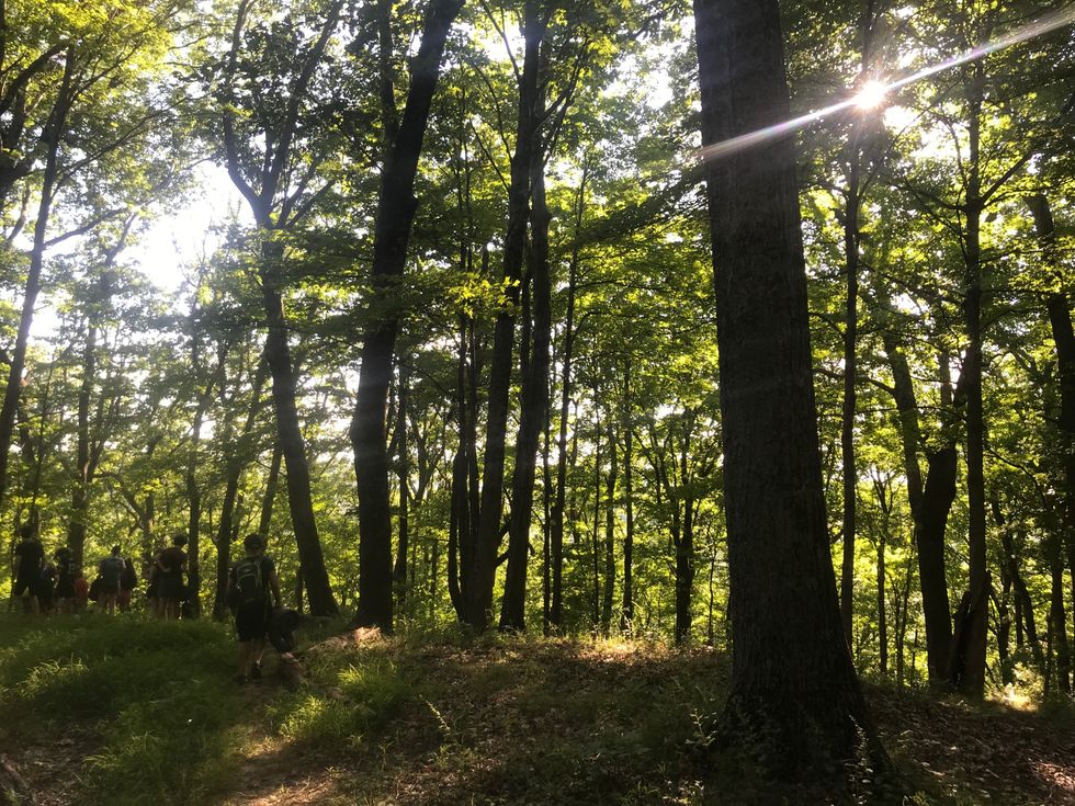 The Outdoors Can Have A Major Impact On You