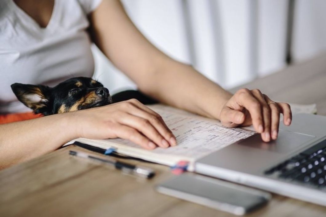 A Test Score Doesn't Define You, But Application Essays Can