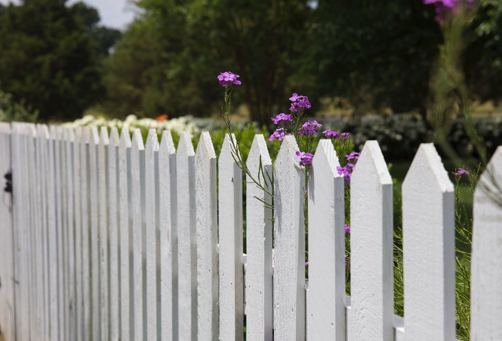 The Time I Got Stuck On A Fence