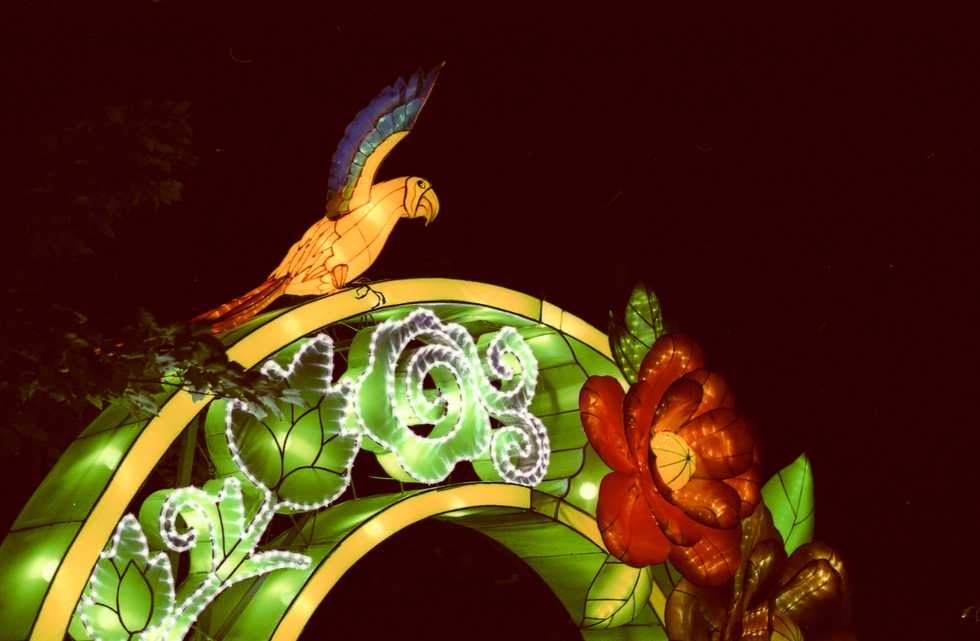 Experimental Photography: Xpro Fuji Provia