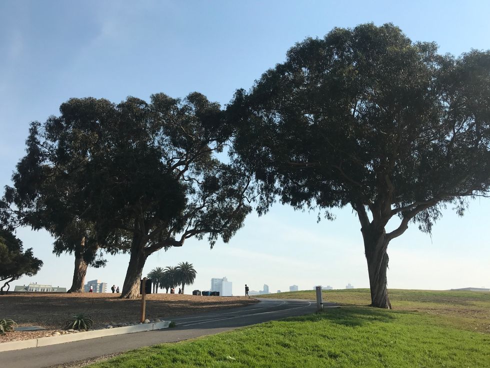 Sociolinguistics Series: Part 33