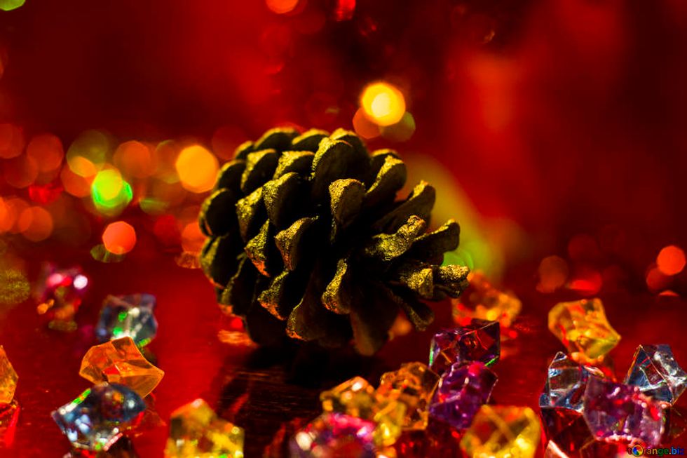 5 Thoughts Of People Who Dislike The Holiday Season