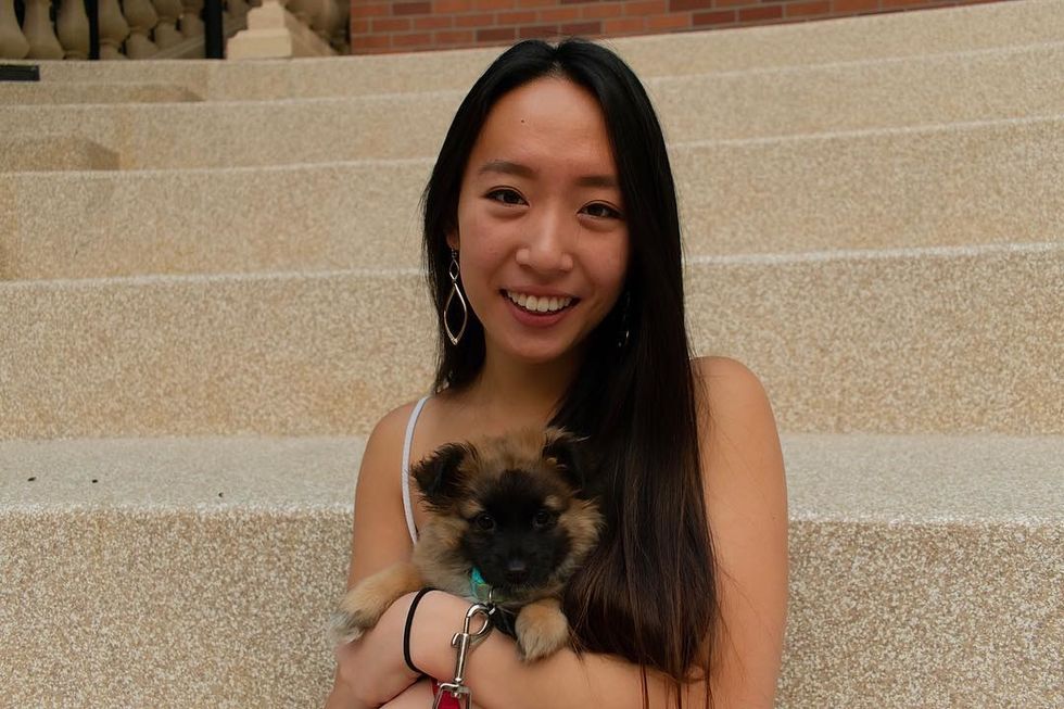 Questions All First-Time Dog Owners Have Googled