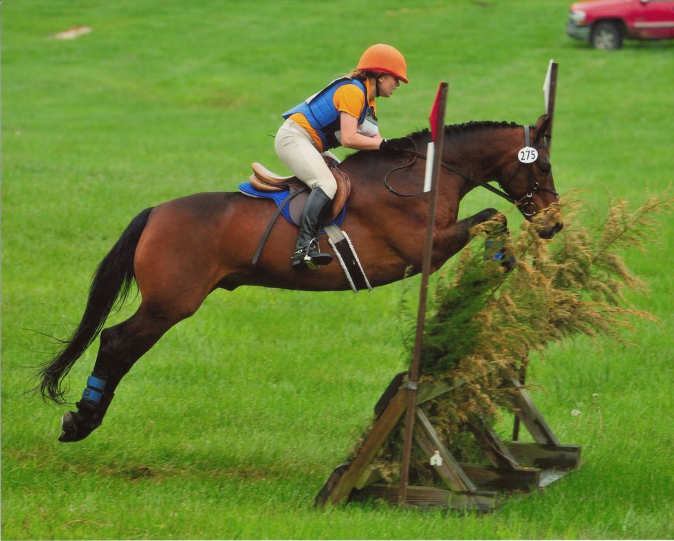 The Story Of The Horse I Lost Far Too Soon