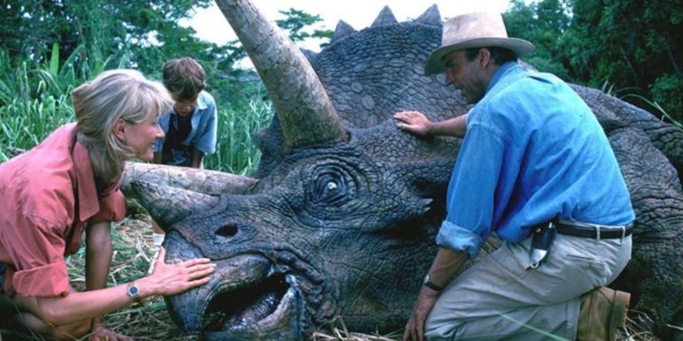 16 Things You Need If You’re A Dinosaur Enthusiast At Heart