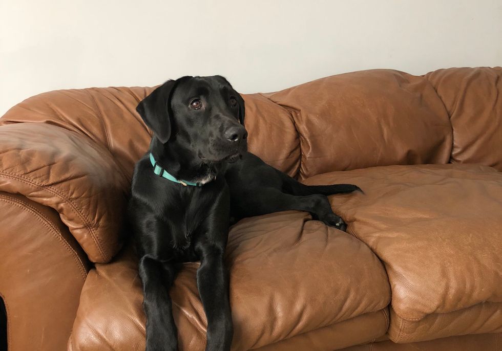 Cuddles and 7 Other Ways My Dog Helps Me Through The ‘Ruff’ Days Better Than Any Human Could