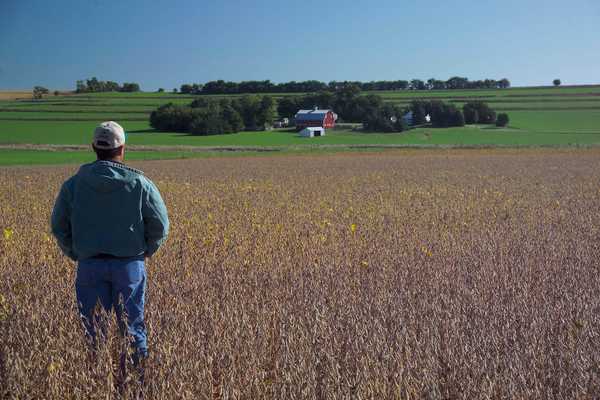 After An Already Unpredictable Year, Fall 2018 Has Farmers Wishing They Weren't In Kansas Anymore