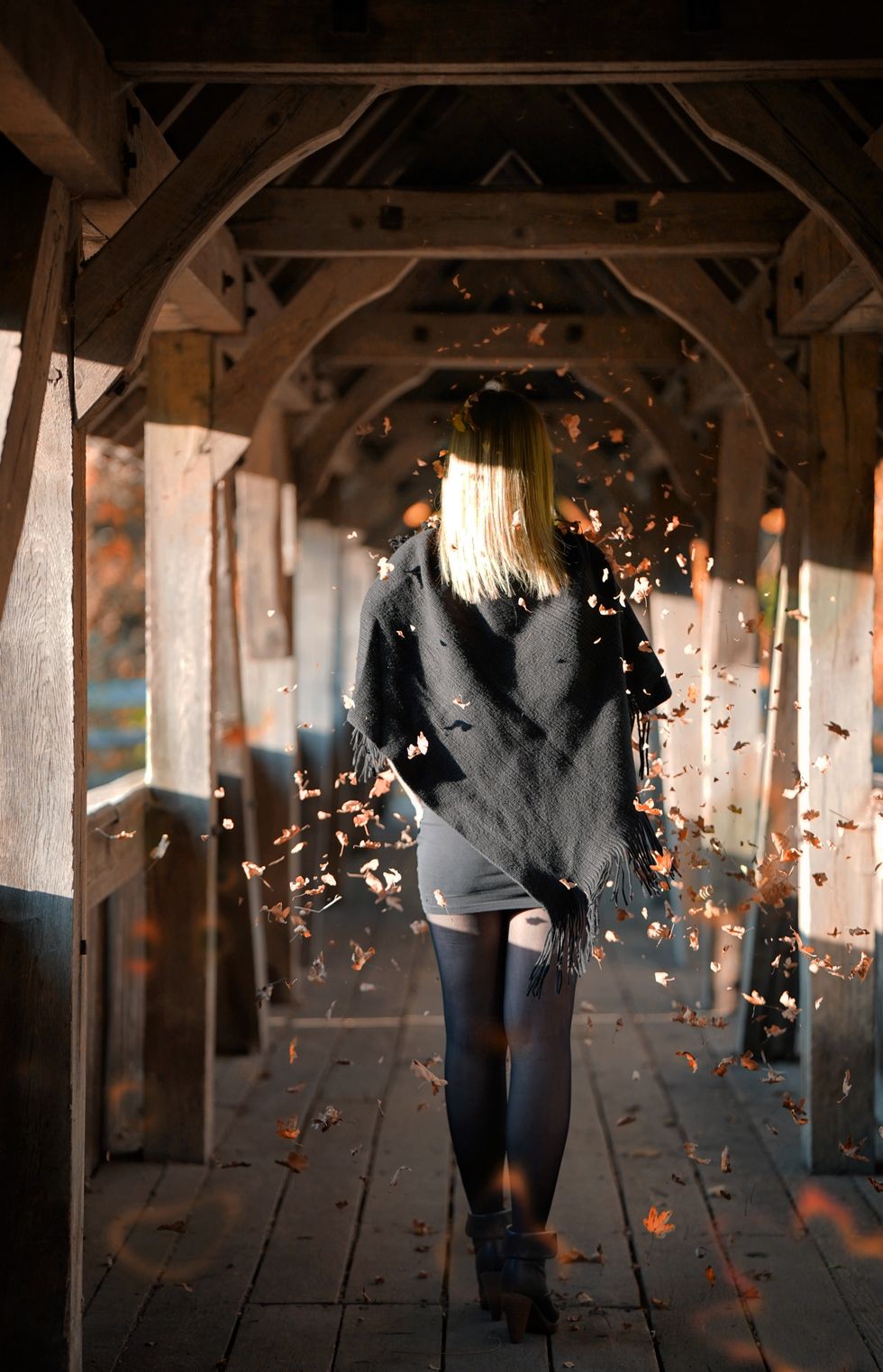 Fall Foliage Shouldn't Be Taken For Granted