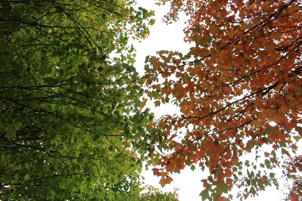 We Really Ought To Start New Year's Resolutions BEFORE New Year's