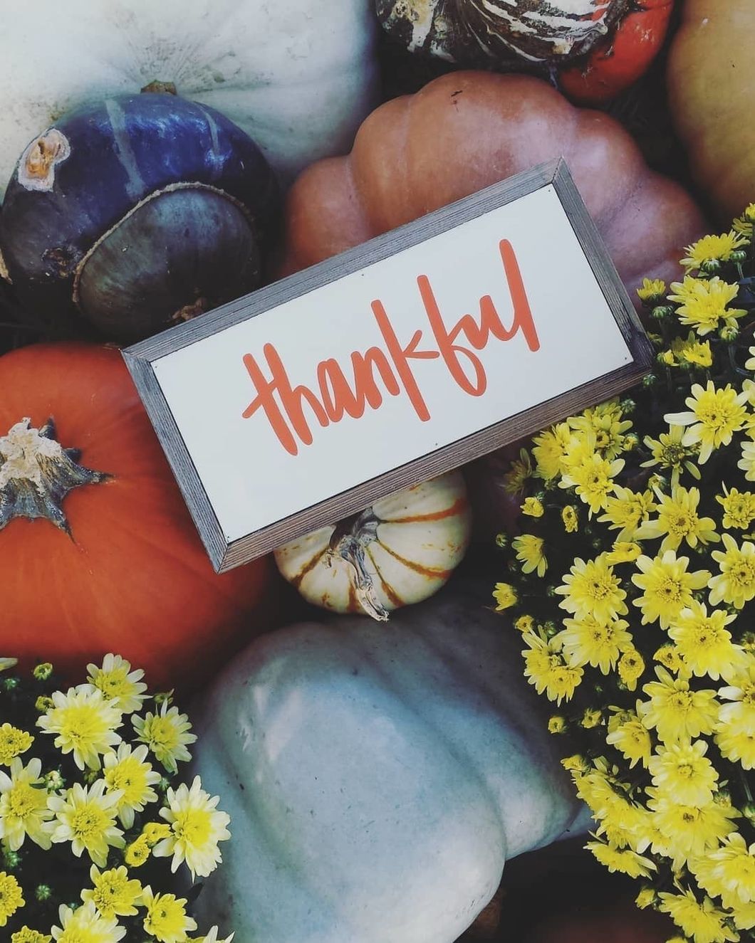 12 Things People Said They Were Thankful For This Year And It'll Just Make Your Heart Melt