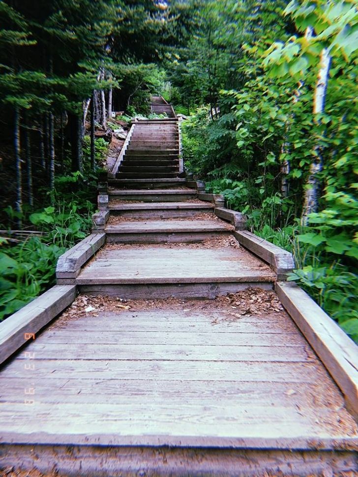 13 Things I Wish I Would Have Told You On That Walk