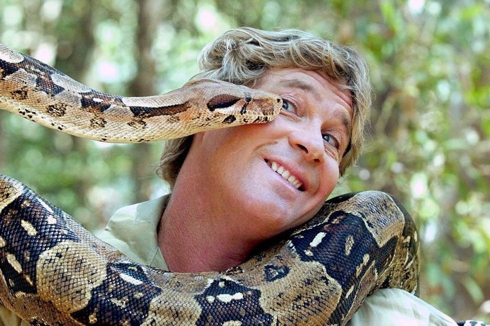 Remembering The Legacy Of My Childhood Hero This Steve Irwin Day