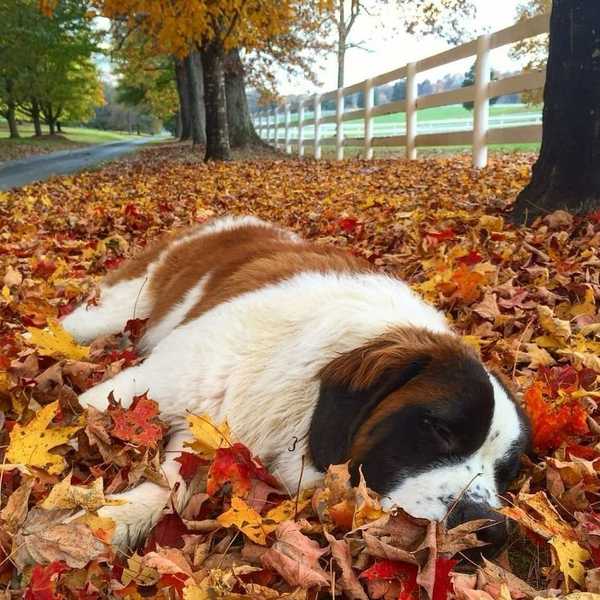 5 Reasons The 3 Weeks Right After Thanksgiving Break Are The Worst College Has To Offer