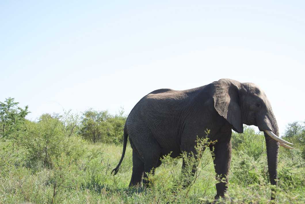 My Trip to South Africa And How It Changed My Life